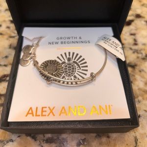 Alex and Ani Bracelet